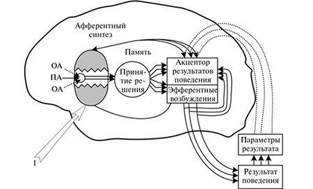 Обложка карточки